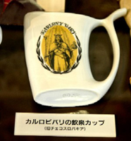 チェコのカルロビバリの陶磁器の飲泉カップ(温泉地学研究所展示コーナーより)