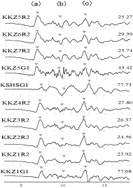 地震計によって捉えられた波形が表示されています。
