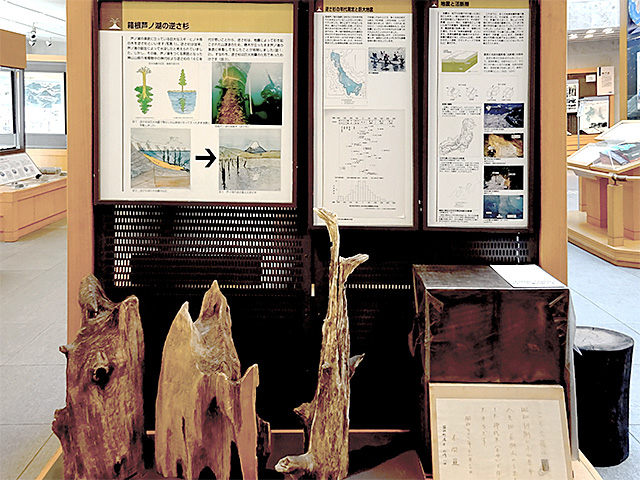 研究所について 展示物の紹介 神奈川県温泉地学研究所