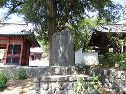 延命寺の山門と石碑。