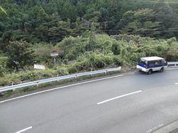 県道の上から石碑をみる。